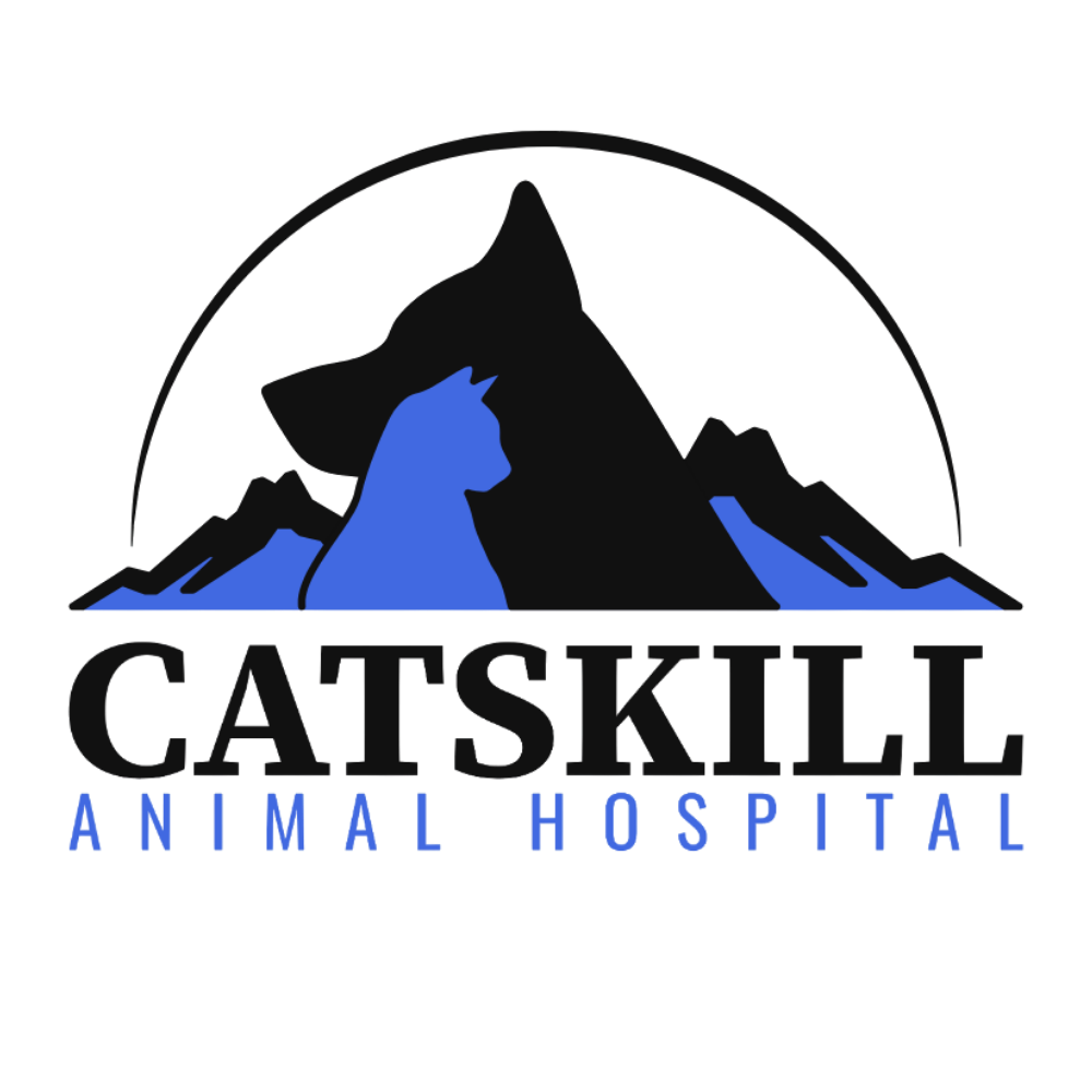Catskill Animal Hospital